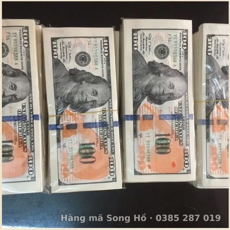 50 xấp đô đẹp 5 mầu